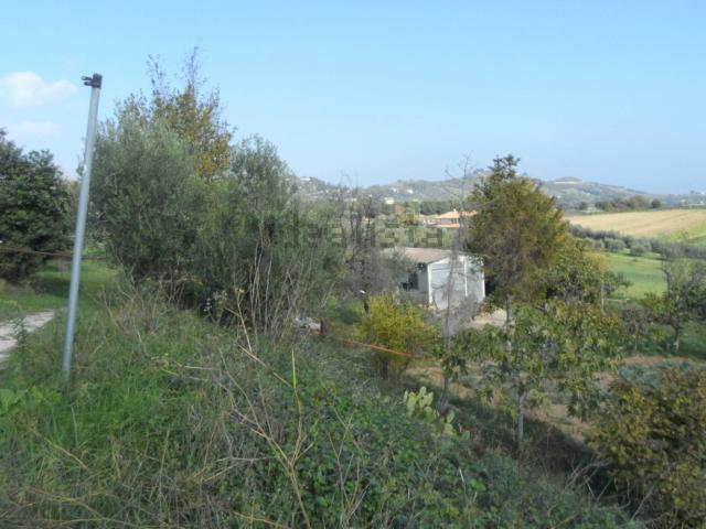 Terreno in vendita di 13200 m² in Contrada San Donato