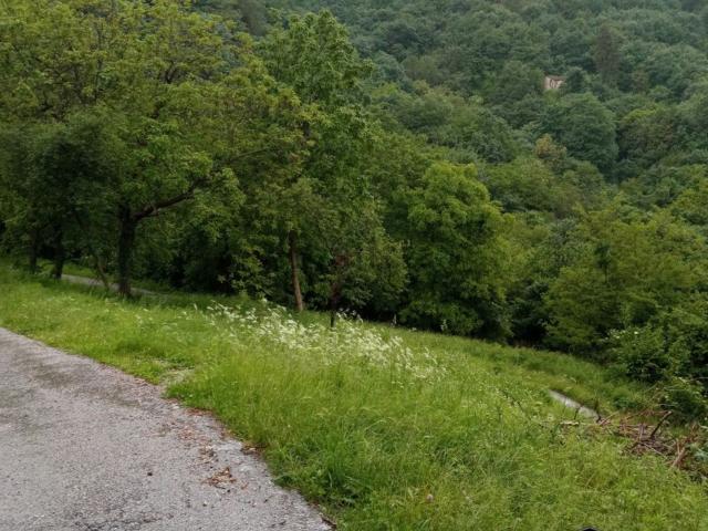 Terreno in vendita di 13300 m² in Via Borgofuro