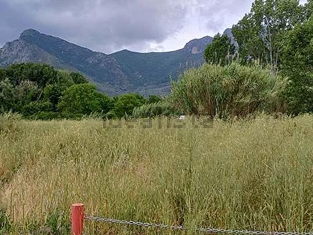 Terreno in vendita di 13319 m² in Strada Statale 85 Venafrana