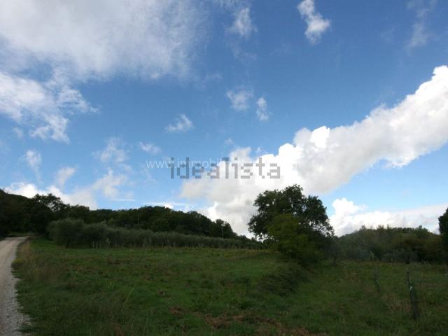 Terreno in vendita di 133439 m²