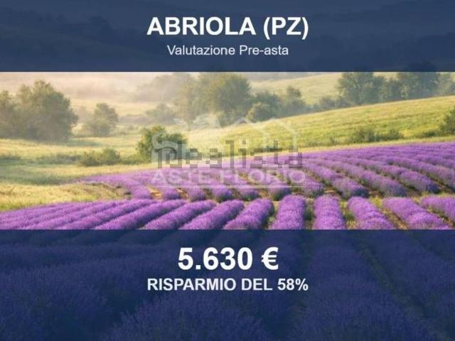 Terreno in vendita di 13347 m² in Contrada Foresta
