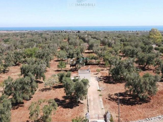 Terreno in vendita di 13381 m² in Via Carovigno