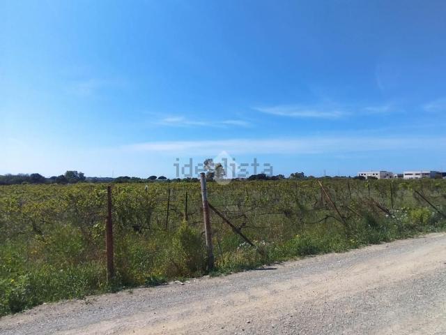 Terreno in vendita di 14533 m²