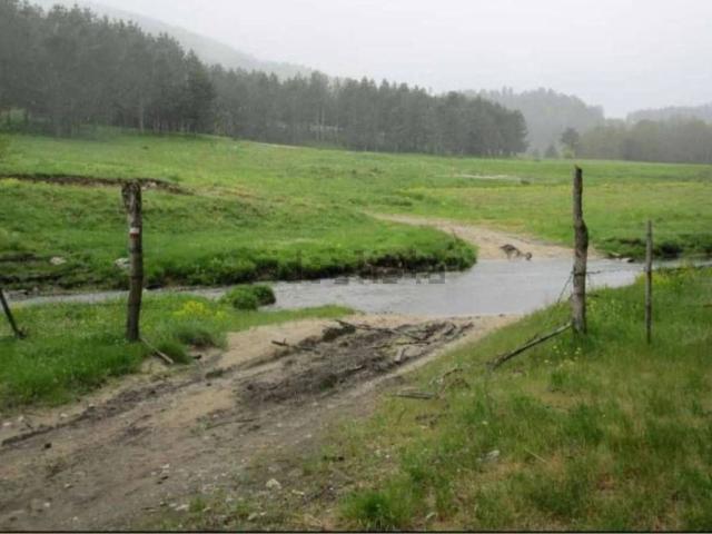 Terreno in vendita di 14580 m² in Strada Statale 108bis