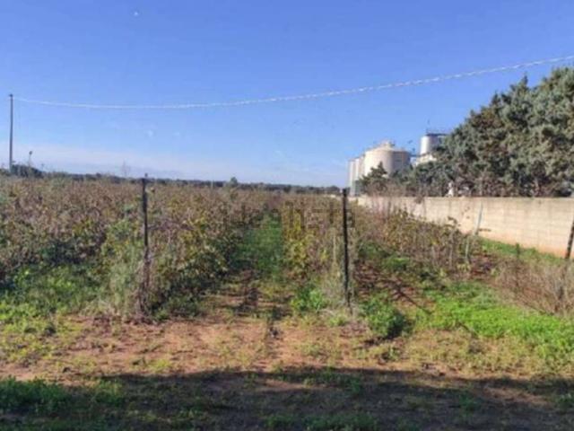 Terreno in vendita di 15 m² in Strada Statale 16 Adriatica