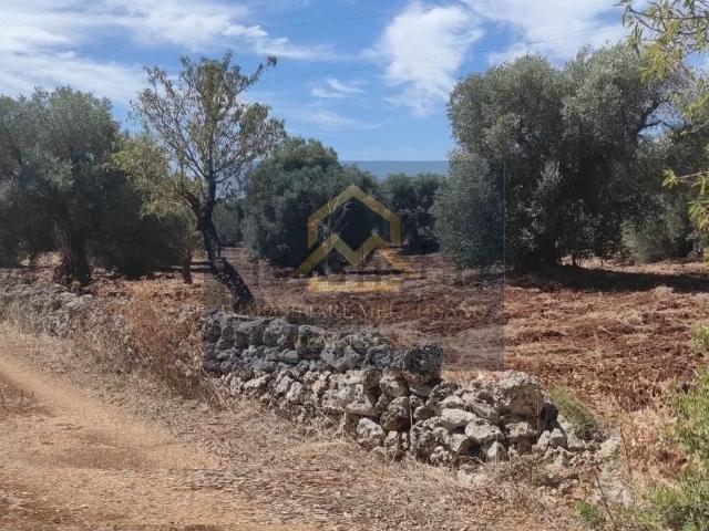 Terreno in vendita di 14680 m² in Contrada Belvedere