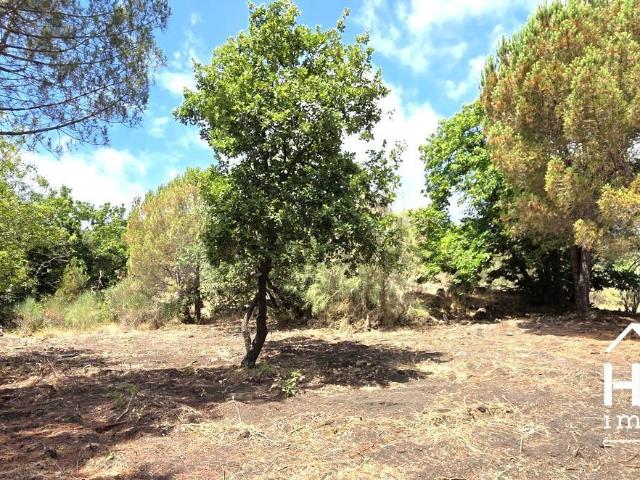Terreno in vendita di 1468 m²