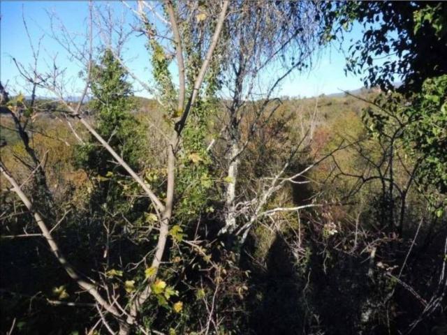 Terreno in vendita di 147105 m² in Frazione Castiglion Ubertini