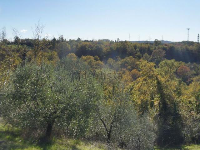 Terreno in vendita di 147105 m² in Località Cella