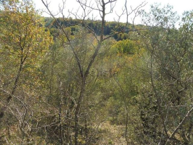 Terreno in vendita di 147 m² in Frazione Castiglion Ubertini