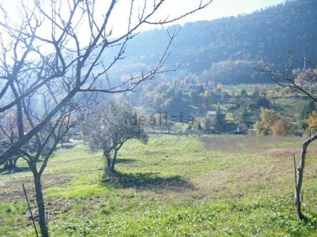 Terreno in vendita di 14910 m² in Via Accorciatoia Cosciano