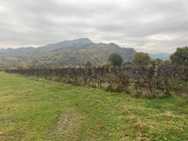 Terreno in vendita di 149598 m²