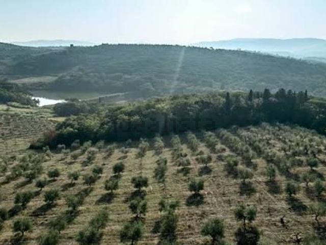 Terreno in vendita di 140000 m²