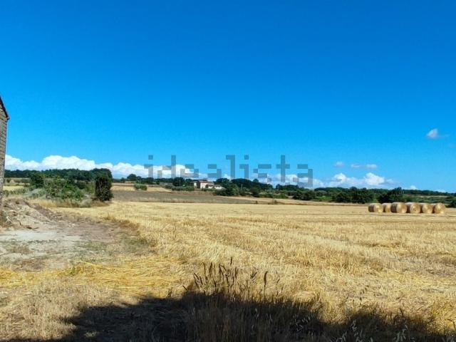 Terreno in vendita di 140000 m² in Località Pantano