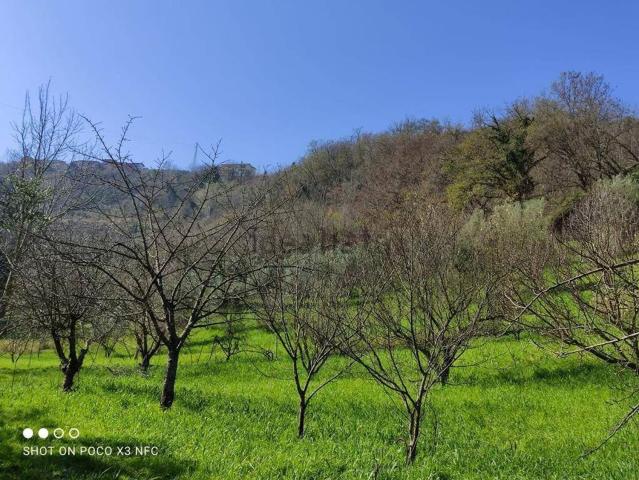 Terreno in vendita di 14000 m²