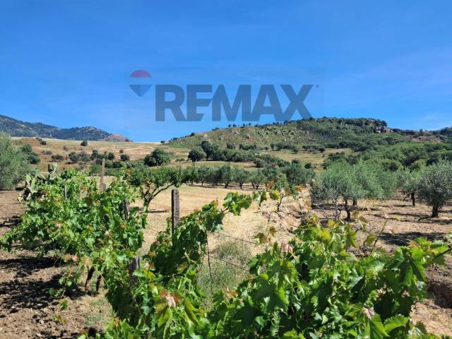 Terreno in vendita di 14000 m² in Via Contura Superiore