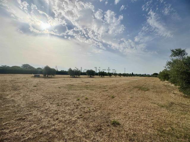 Terreno in vendita di 14000 m² in Via del Tripesce