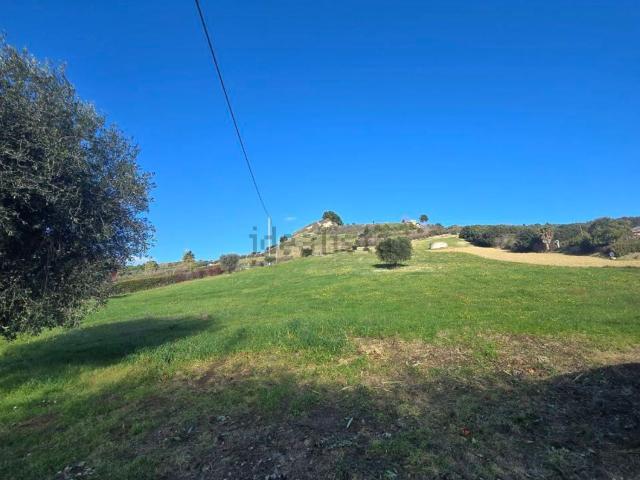 Terreno in vendita di 14000 m² in Contrada Montecretaccio