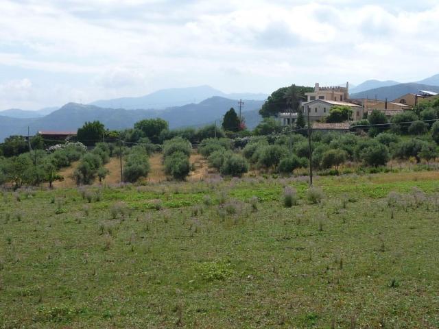 Terreno in vendita di 14000 m² in Piazza Condurso