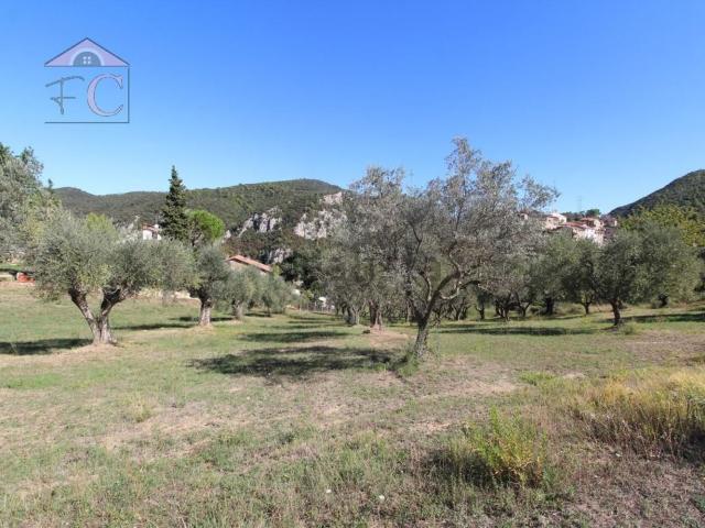 Terreno in vendita di 14000 m² in Strada delle treie