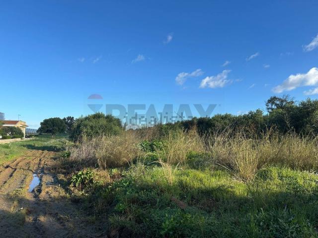 Terreno in vendita di 14016 m² in Contrada Pipitona
