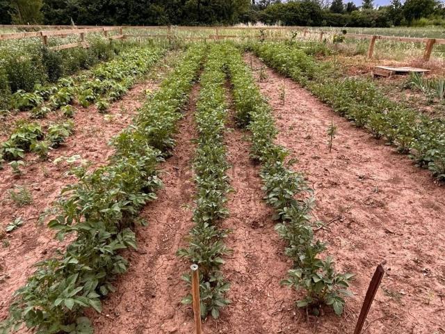 Terreno in vendita di 140 m²