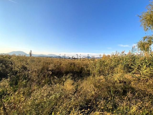 Terreno in vendita di 14113 m² in Via Palù Inferiore