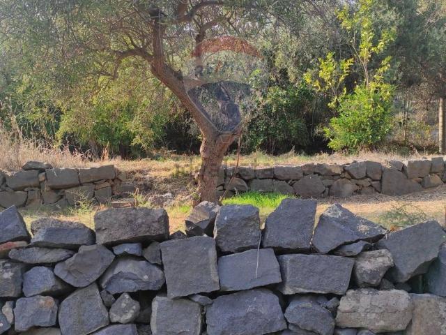 Terreno in vendita di 14175 m² in Via Scalazza, 35