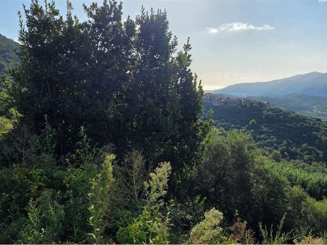 Terreno in vendita di 1420 m² in Via Genova