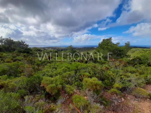 Terreno in vendita di 14210 m²