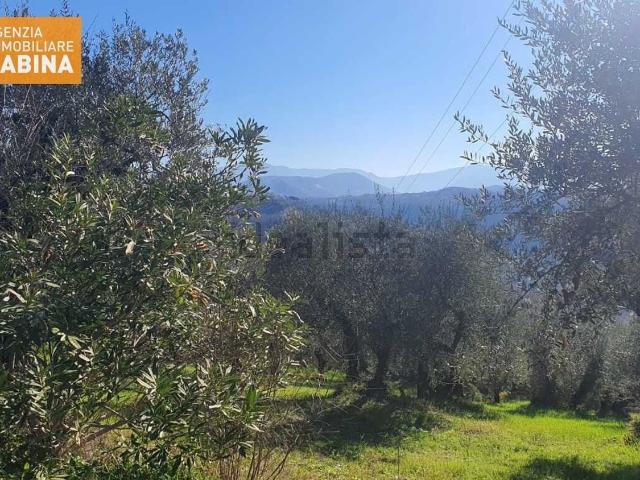 Terreno in vendita di 1425 m² in Via Giardino