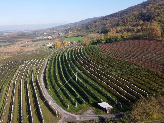 Terreno in vendita di 14349 m² in Via Pagno, 153