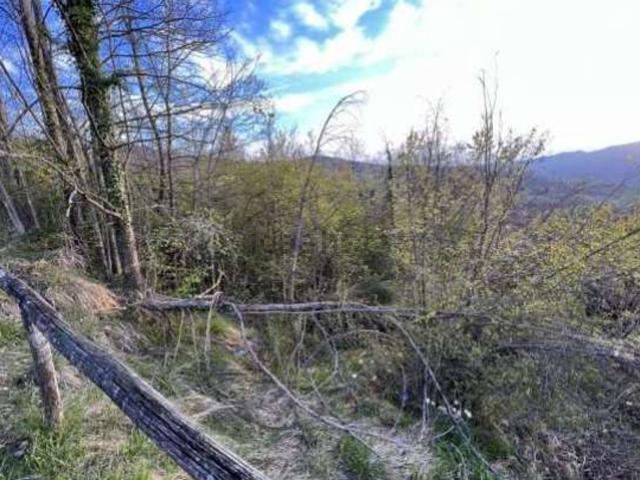 Terreno in vendita di 14363 m² in Via Agadello