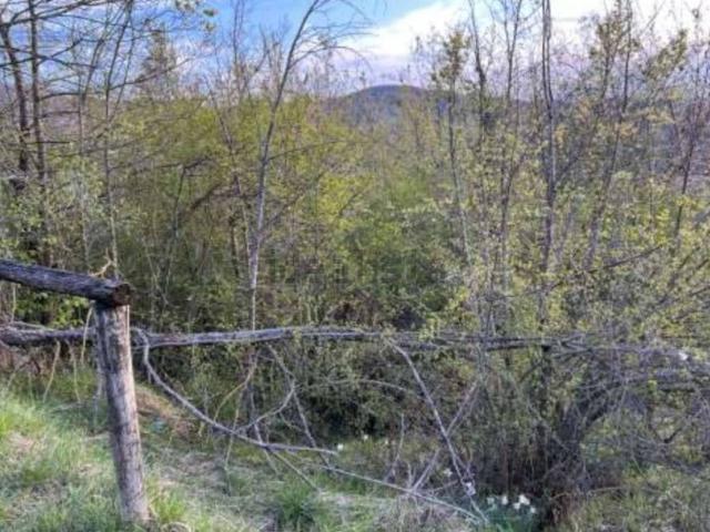 Terreno in vendita di 14363 m² in Località La Pilla