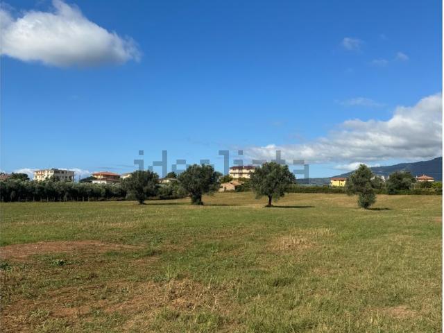Terreno in vendita di 15500 m² in Via dei Marruccini