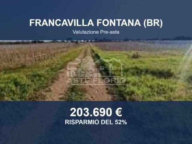 Terreno in vendita di 155604 m² in Contrada Monte Ciminiello