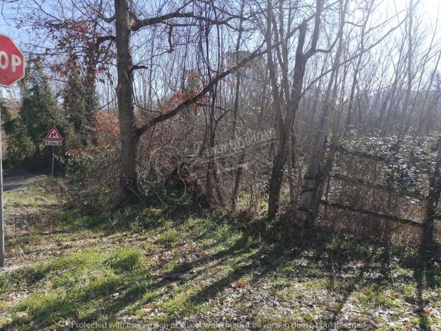 Terreno in vendita di 15580 m² in Strada Provinciale Sorianese