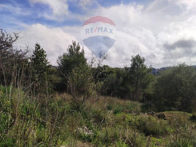 Terreno in vendita di 1560 m² in Contrada Baronazzo