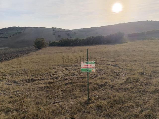 Terreno in vendita di 1560 m² in Contrada Cotti, 286
