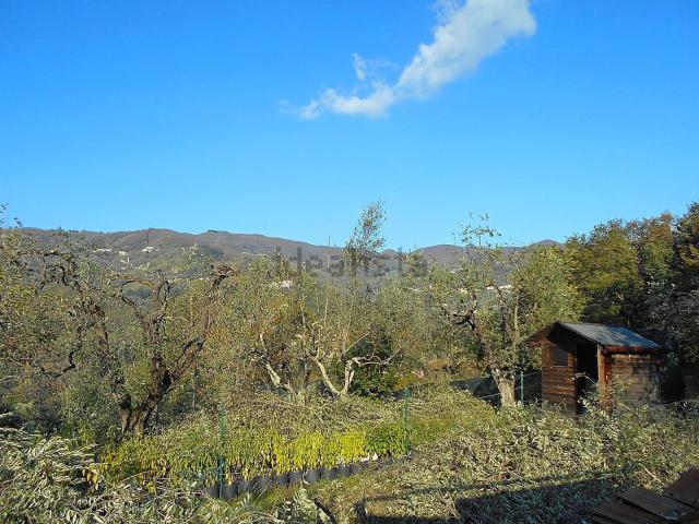Terreno in vendita di 1560 m² in Via San Felice e Piteccio