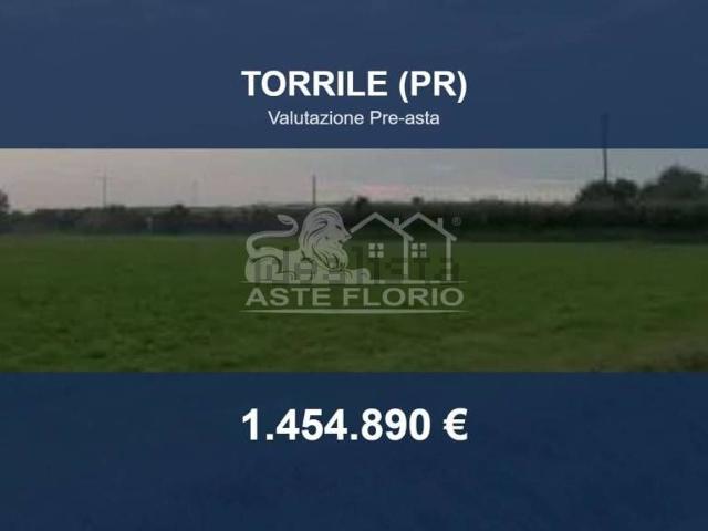 Terreno in vendita di 156880 m² in Via Mezzo Pizzolese