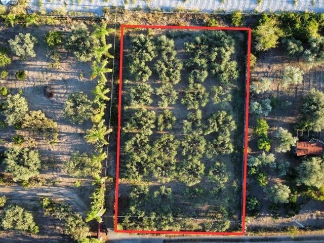 Terreno in vendita di 1575 m² in Contrada San Filippo