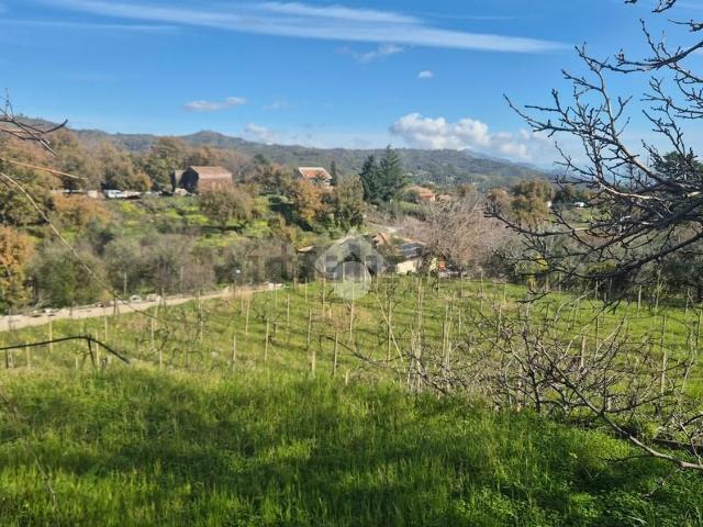 Terreno in vendita di 1576 m² in Via Bassi, 8