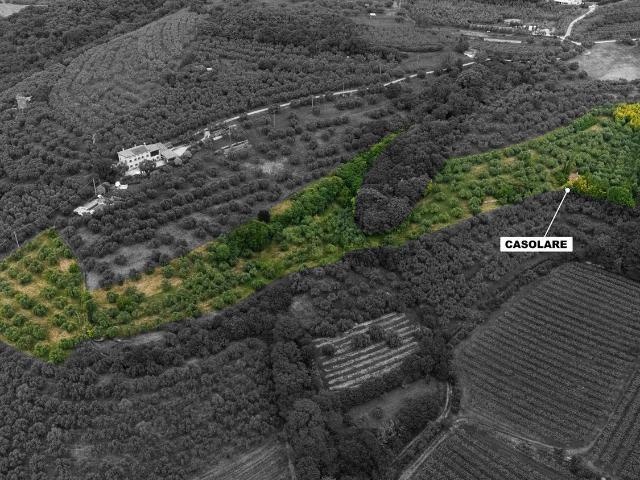 Terreno in vendita di 15776 m² in Via Pradelle