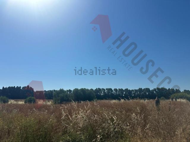Terreno in vendita di 1585 m²