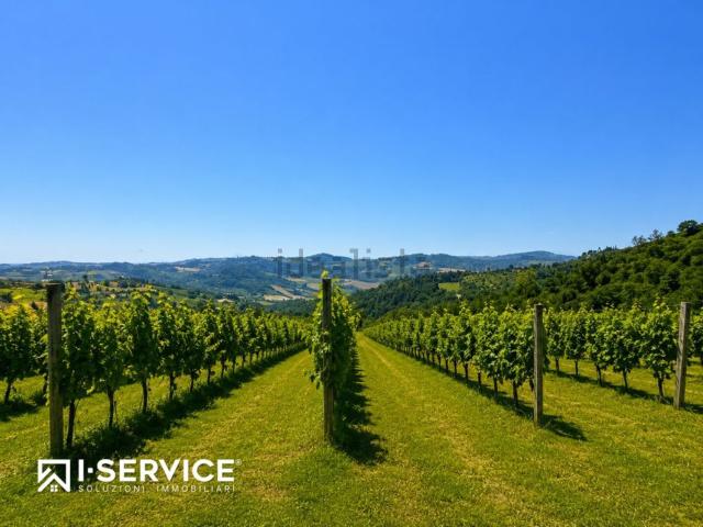 Terreno in vendita di 150000 m²
