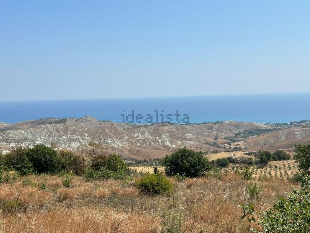 Terreno in vendita di 15000 m²