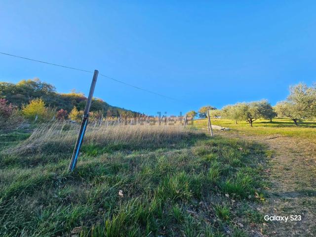 Terreno in vendita di 15000 m²