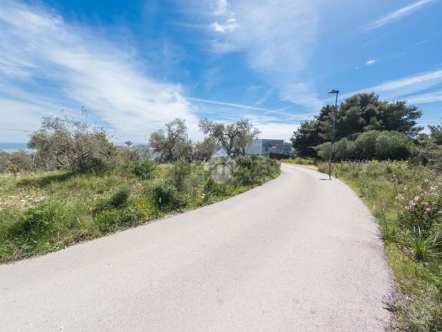 Terreno in vendita di 15000 m²