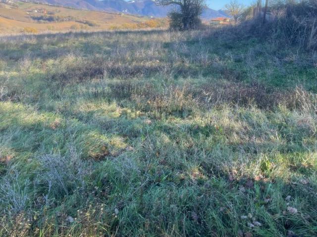 Terreno in vendita di 15000 m²